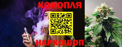 стафф Брянск